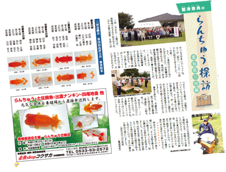 月刊らんちゅう１２月１月号入荷